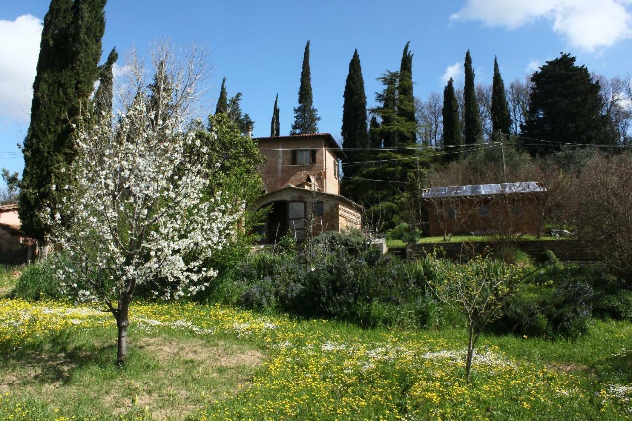 Bed & Breakfast Bio La Fanciullaccia